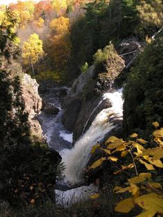 a waterfall in the middle of a forest with lots of trees around it and yellow leaves on the ground