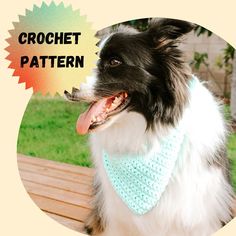 a collie dog wearing a blue crochet bib and sitting on a wooden bench