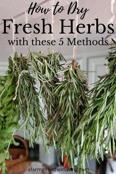 fresh herbs hanging from the ceiling with text overlay that reads how to dry fresh herbs with these 5 method