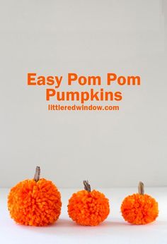 three orange pom - pom pumpkins sitting in front of a white background