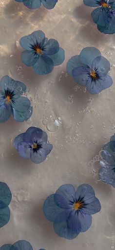 blue flowers floating in water on top of a sandy surface with drops of water around them