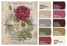 an image of a rose on a piece of paper with color swatches for each section