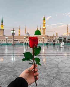 a person holding a red rose in front of a building with many minarets