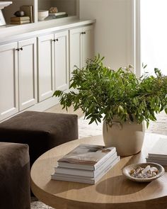 a coffee table with books and a potted plant on it in a living room