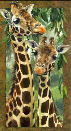 two giraffes are standing next to each other in front of trees and grass