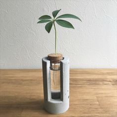 a small plant in a concrete vase with a cork on the top, sitting on a wooden table