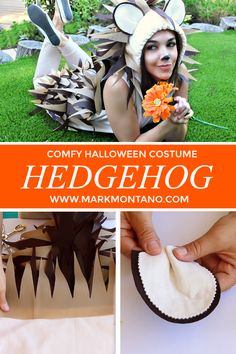 a collage of halloween costumes with text overlay that reads, comfy halloween costume hedgehog