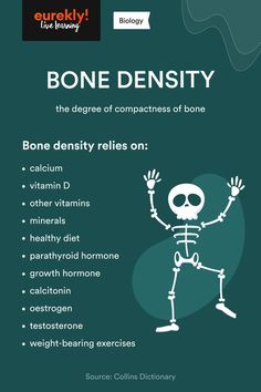 a skeleton with bones on it and the words bone density