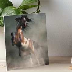 a brown and white horse running in the dust art board print on a table next to a potted plant