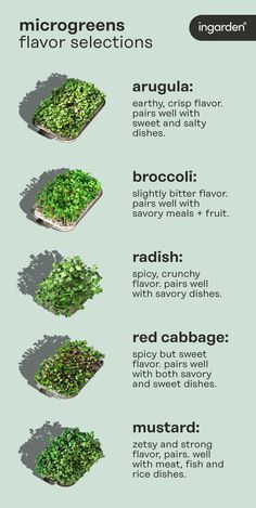 an info sheet describing different types of plants and how they are used to grow them