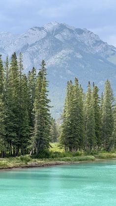 the mountains are covered in snow and pine trees next to a lake with clear blue water