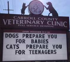 a sign that says dogs prepare you for babies and cats prepare you for teenagers in front of a veterinary clinic