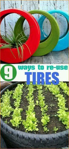 there are several different types of tires in the planter with plants growing out of them