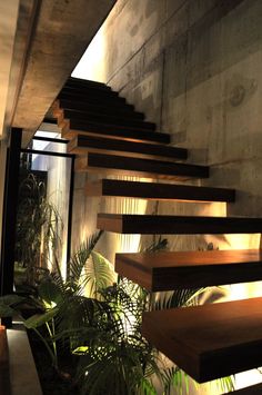 the stairs are made of wood and have lights on them