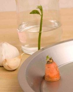 a small carrot sitting on top of a metal pan next to garlic and a glass of water