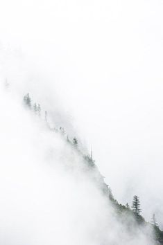 the mountains are covered in thick fog and low lying pine trees on top of them