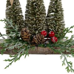 pine cones and berries are sitting on a branch