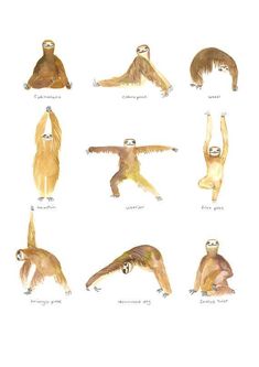 the different types of monkeys are shown in this drawing, which shows them doing yoga and stretching