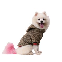 a small white dog wearing a brown jacket and pink tail sitting on the ground with its tongue out