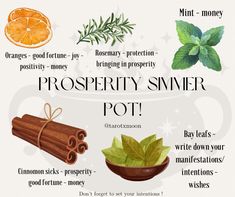 PROSPERITY SIMMER POT! This simmer pot will not only let the magic flow freely threw out your home but will also make your home smell incredible 😍🌿✨ Make this simmer pot any time but would work best on a Thursday, to attract the highest potential of prosperity into your life Comment if you are going to make this simmer pot! Cauldron Simmer Pot, Manifestation Simmer Pot, Protection Simmer Pots Witchcraft, Cleansing Simmer Pot Recipes, Herbal Simmer Pot Recipes, Prosperity Simmer Pot, Simmer Pot Witchcraft, Simmer Pot Magic, Witchy Simmer Pots