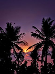 the sun is setting behind palm trees in front of an orange and purple sky with clouds