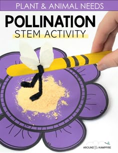 Animal Classification Stem Activities, Insect Steam Activities, Pollen Transfer Activity, Bees Kindergarten Activities, Bee Science Experiment, Bee Activity For Kids, Honey Bee Activities For Kids, Bee Lessons For Preschoolers, Bee Pollination Activity