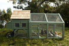 three chickens in a small green coop on the grass