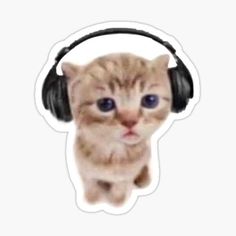 a cat with headphones on its face sticker is shown in the middle of this photo