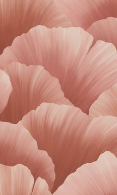 an image of pink flowers that are in the middle of it's blooming petals