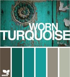 the color scheme is turquoise and brown, with white lettering that reads wormy turquiose