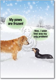 two dogs are talking to each other in the snow with bubbles saying my paws are frozen man, i wish that was my only problem