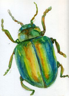 a watercolor drawing of a green bug on a white background with blue and yellow stripes