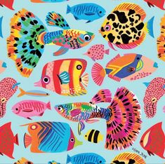 an image of colorful fish on blue background