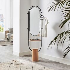 a mirror and some clothes on a stand in a room with a potted plant