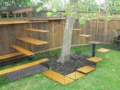 a tree in a cage on the grass next to some steps and a fenced in area