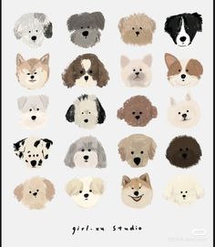 a bunch of dogs that are all different colors