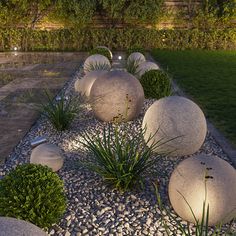 some rocks and plants in the middle of a garden at night with lights shining on them