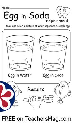 an egg in soda experiment worksheet for kids to learn how to use it