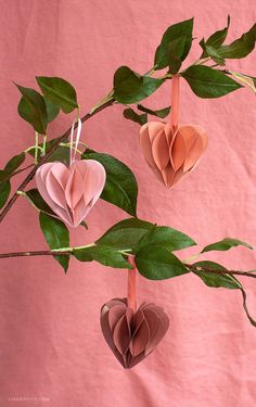 three heart shaped paper ornaments hanging from a tree branch on a pink background with green leaves