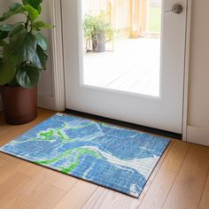 a door mat with a blue and green design is on the floor next to a potted plant