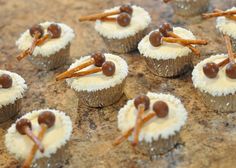 small cupcakes with white frosting and chocolate toppings on a granite surface