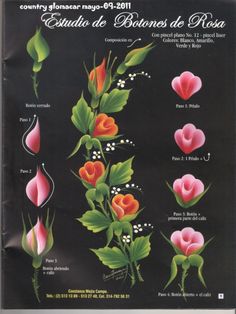 a poster showing different types of flowers on black paper with spanish words in the center