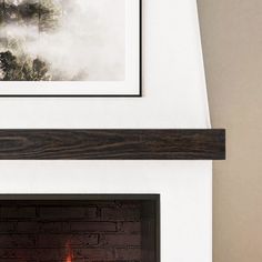 a fire is burning in a fireplace with pictures on the wall above it and below it