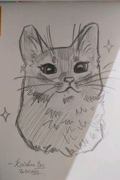 a drawing of a cat is shown on a piece of paper