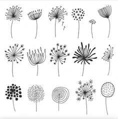 the dandelions are drawn in black and white