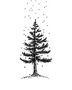 a black and white drawing of a pine tree with snow falling down on it's branches