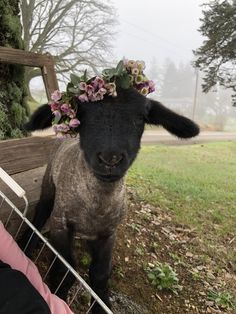 a sheep with flowers on its head standing next to a fence