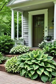 a house with green plants in front of the door and steps leading up to it