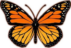 an orange butterfly with black spots on it's wings