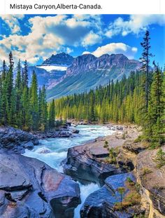 a river running through a forest filled with rocks and trees under a cloudy blue sky